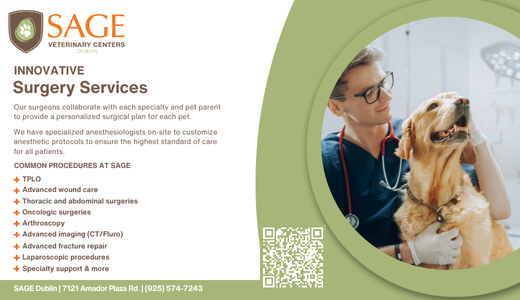 Experience advanced pet surgery at Sage Veterinary Centers in Dublin—where innovation meets expert care.